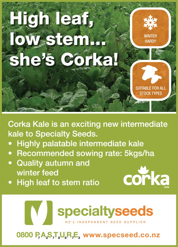 Click here for more information on Corka Kale