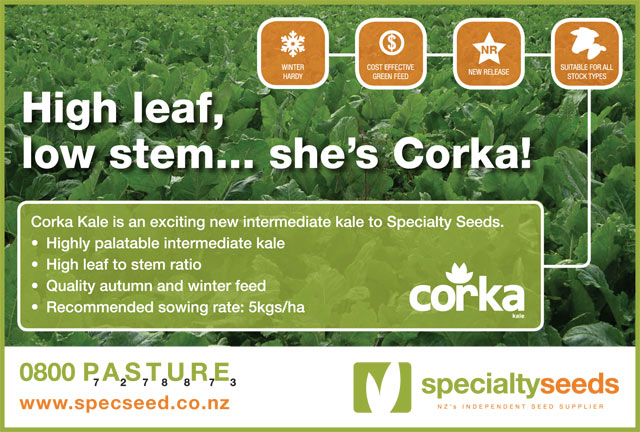 Click here for more information on Corka Kale