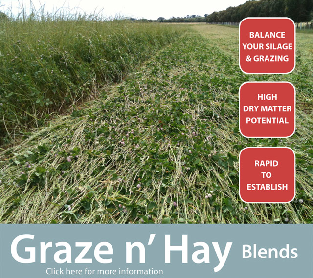 Click here to check out Graze n Hay