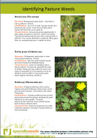 Identifying Pasture Weeds