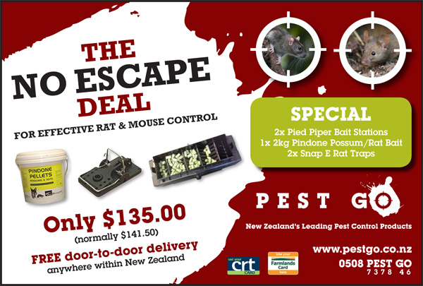Click here for more info on the No Escape Deal - Pest Go NZ