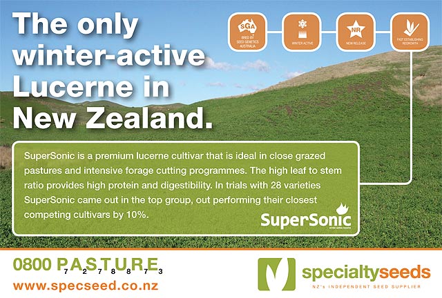 Click here for more information on Supersonic Lucerne from Specialty Seeds