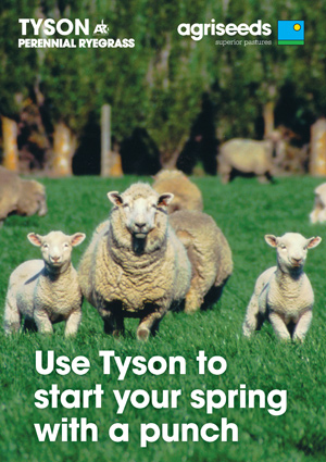 Download the Tyson brochure for more information