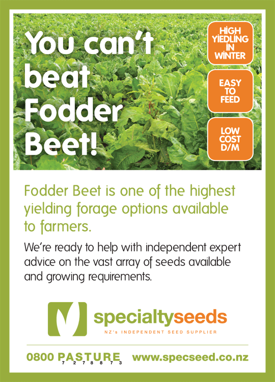 Click here for more information on Fodder beet