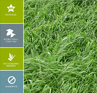Click here to see more information about Blitz Tetraploid ryegrass