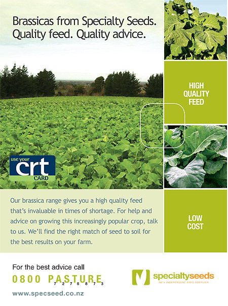 Click here for more information on Specialty Seeds Brassica Range