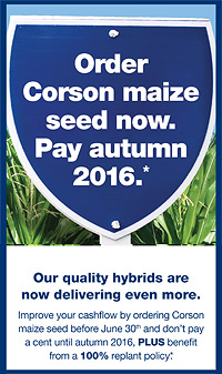 Corson Maize Early Order campaign