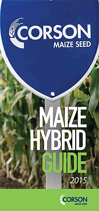 Corson Maize Flyer