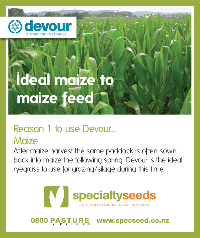 Click here to go to the Devour Tetraploid Annual Ryegrass page