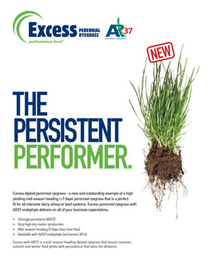 Click here to see more about Excess ryegrass