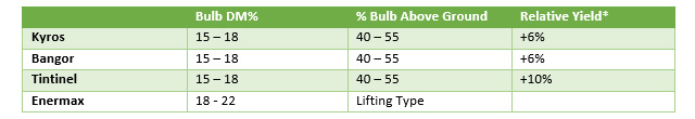 Click here to find more information on fodder beet