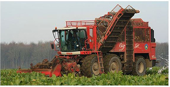 Fodder beet harvester - Gearing up for the expanding fodder beet area