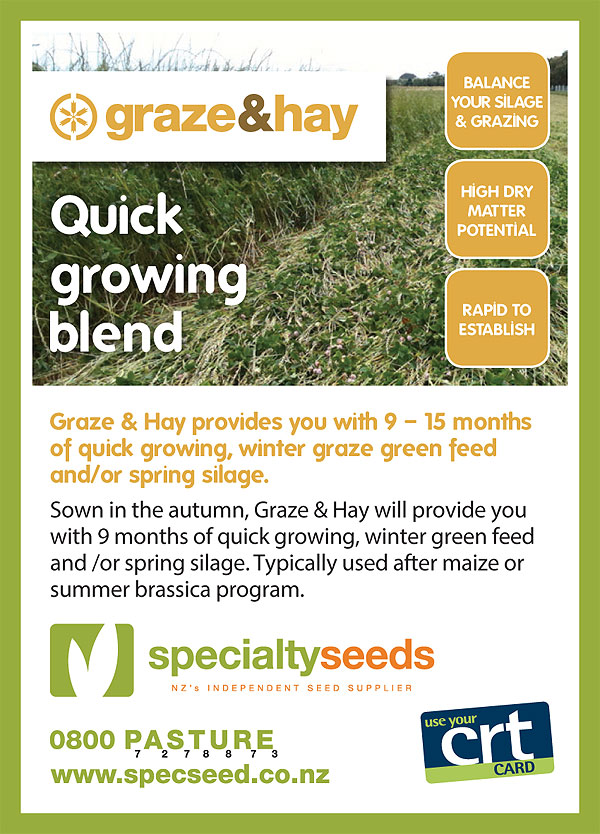 Click here to check out Graze n Hay Blend
