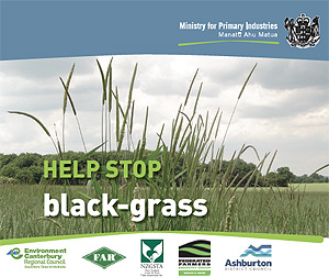 Download the 'Help stop Black Grass' flyer