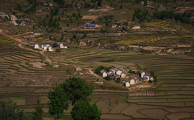 Irrigated Land - Madagascar