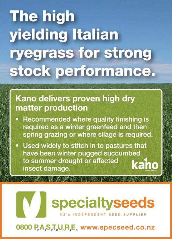 Click here for more information on Kano italian ryegrass