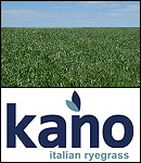 Kano Italian Ryegrass