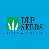 DLF Seeds