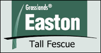 Click here to contact us for more information about Easton Tall Fescue