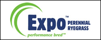 Click here to go to the download the Expo brochure