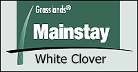 Click here to contact us for more information about MainStay White Clover