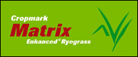 Matrix Ryegrass