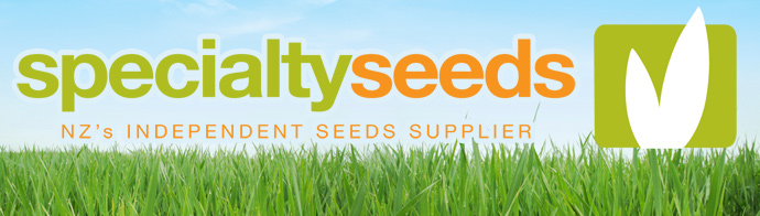 SeedData Newsletter