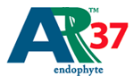 AR37