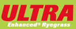 Ultra AR1 Ryegrass
