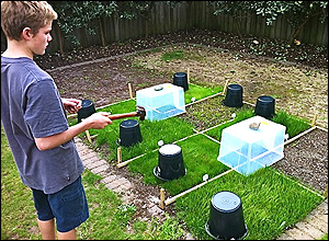 Patrick and his Lawn Seed trials