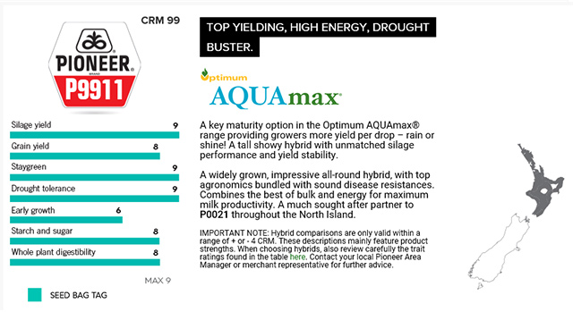 Pioneer 9911 Maize brochure
