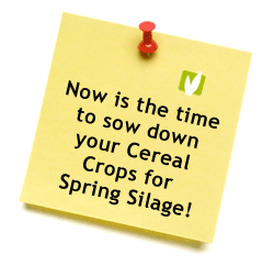 Click here to see your Cereal Silage options