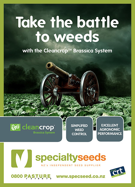 Click here for more information on Clean Crop Brassica