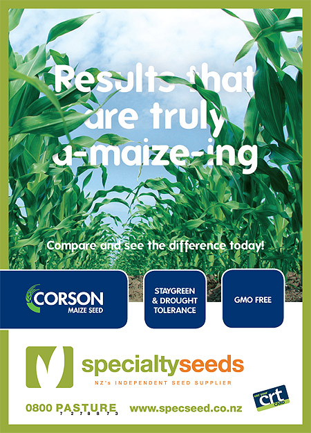 Click here for more information on Corson Maize