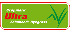 Ultra Enhanced  perennial ryegrass