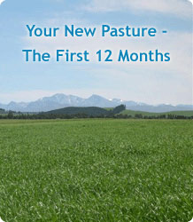 Click here to go to download 'Your New Pasture - The First 12 Months'